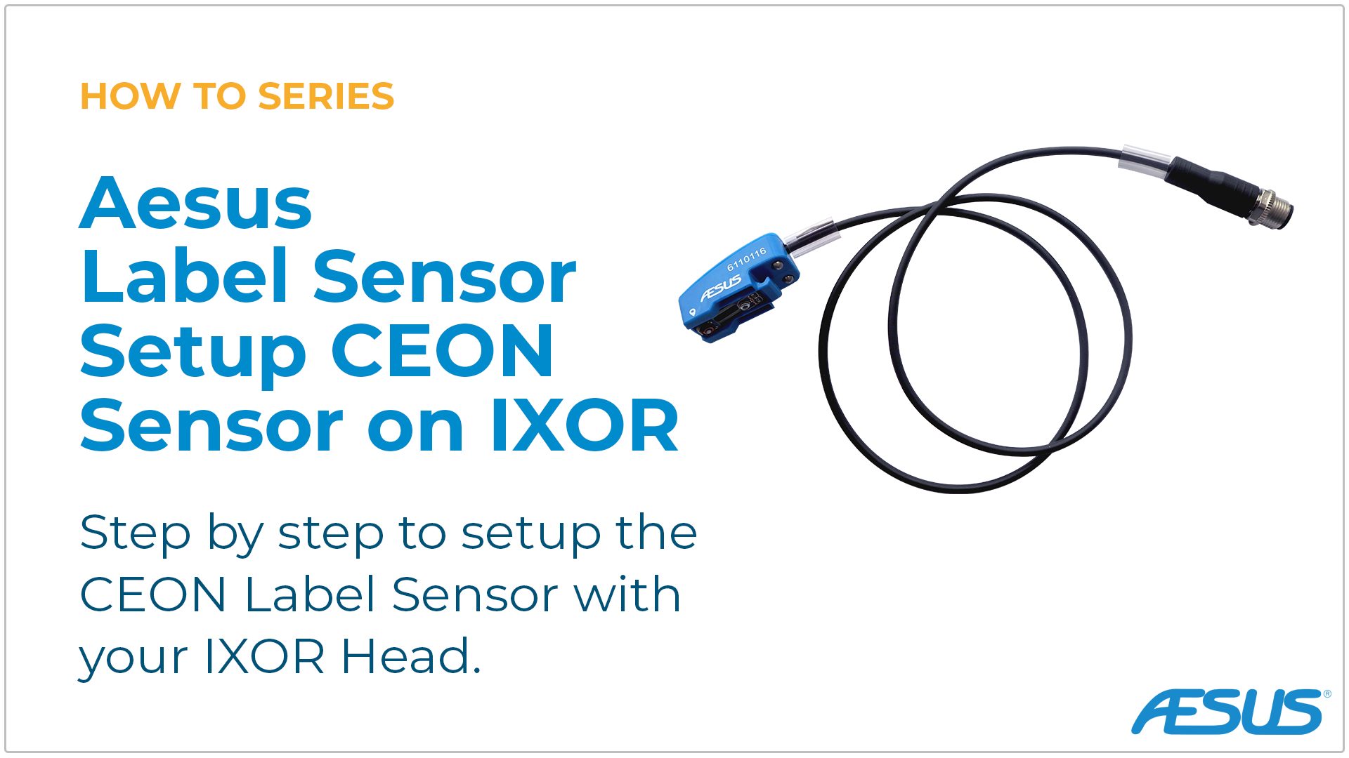 Sensor Setup – CEON Sensor with IXOR