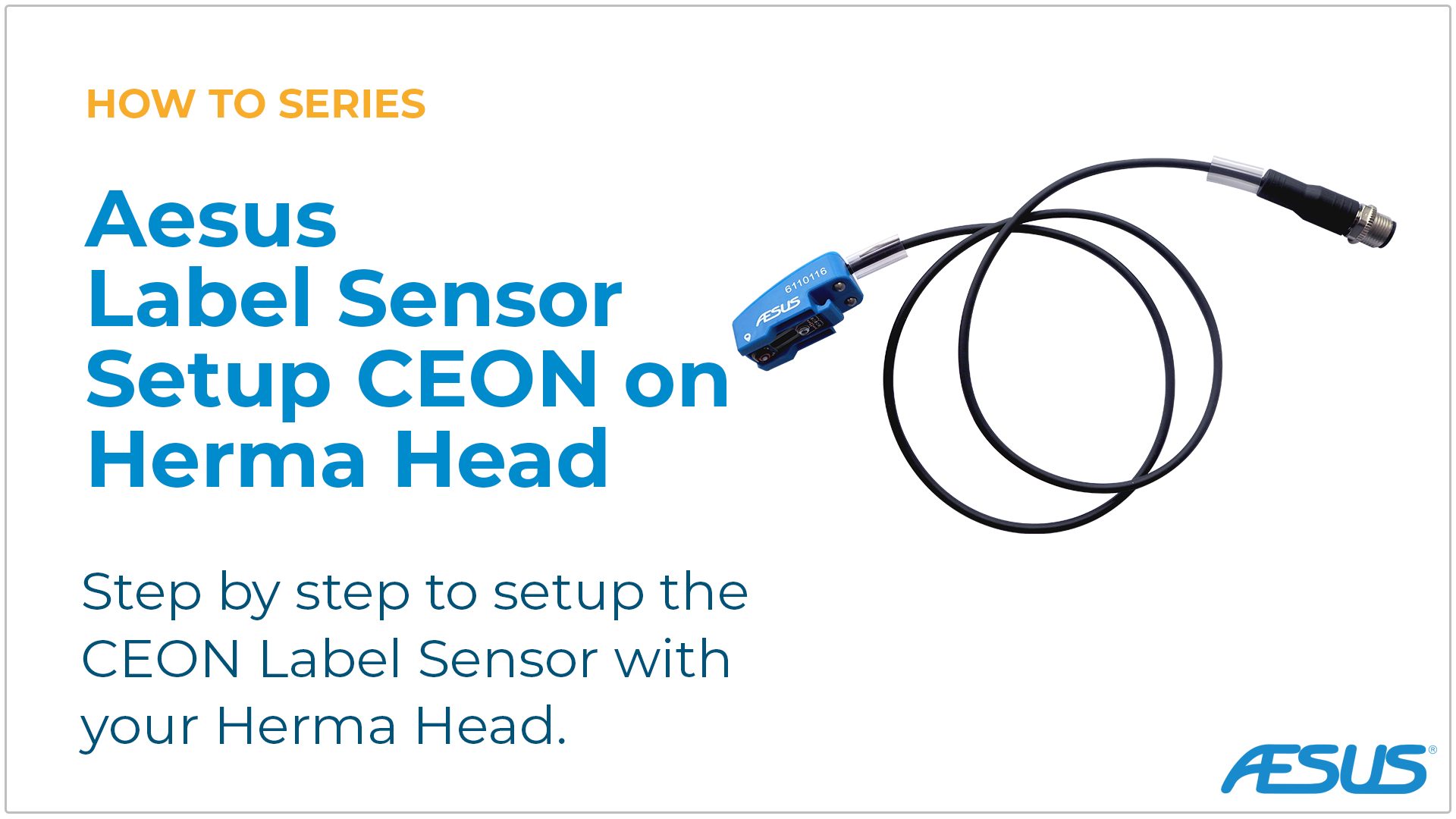 Sensor Setup – CEON sensor with Herma Head