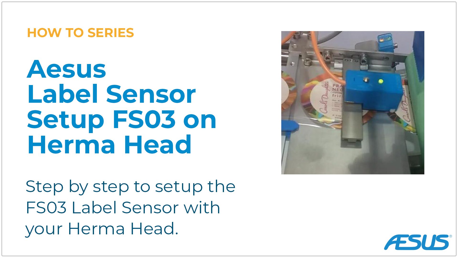 Sensor Setup – FS03 on Herma Head